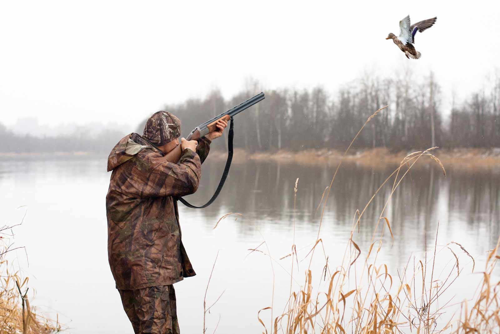 duck_hunting